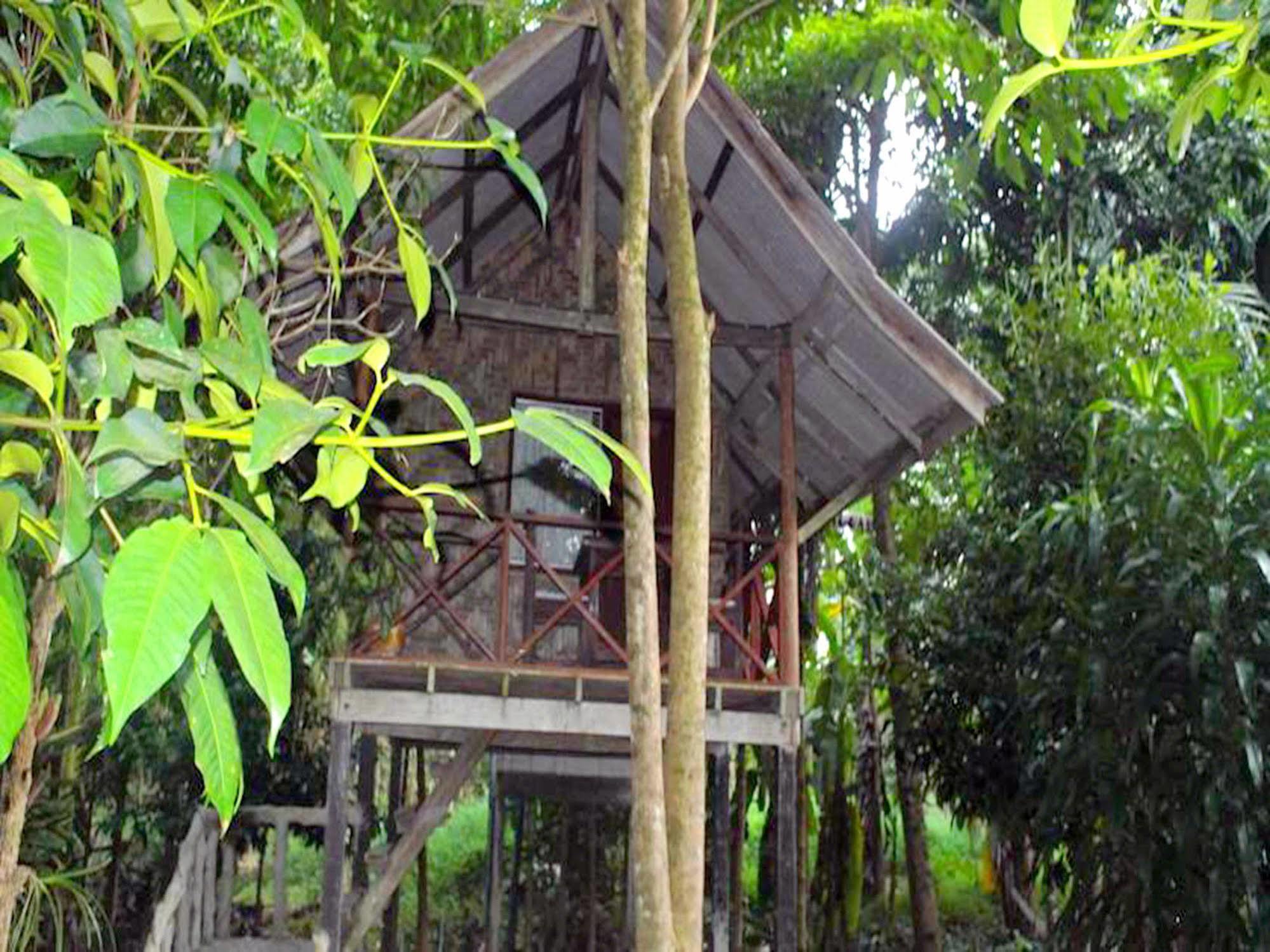 Khaosok Island Resort Khao Sok National Park Exteriér fotografie